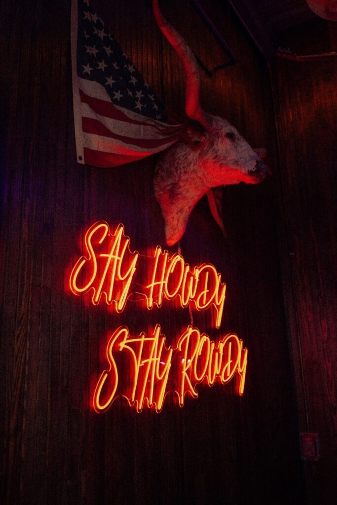 Neon sign reading "Say Howdy Stay Rowdy" below mounted steer head and American flag